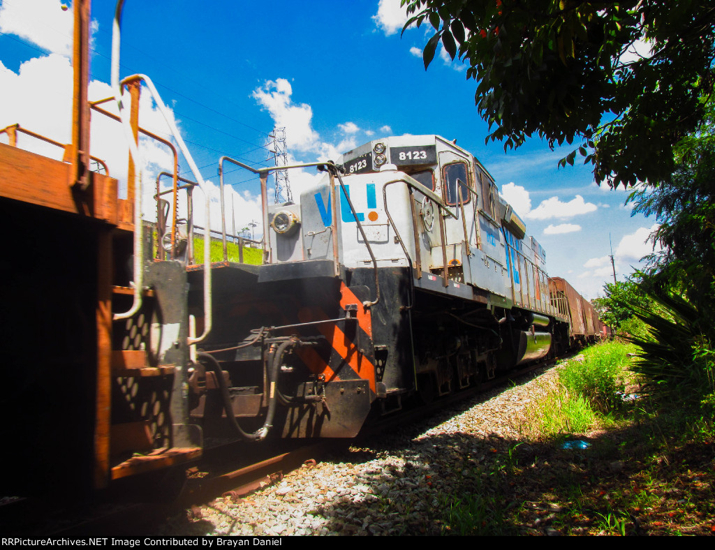 VLI 8123
